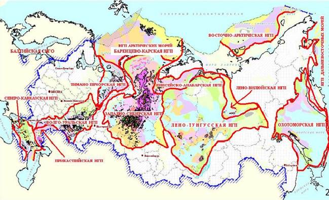 Курсовая работа: Особенности формирования и нефтегазоносность терригенных отложениях северо-восточной окраины волго-уральской провинции