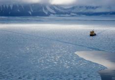 Cilat kontinente lahen nga Oqeani Arktik?