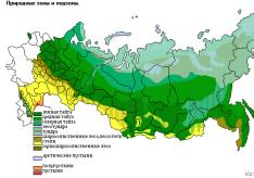 Tabela “Zonas naturais da Rússia”