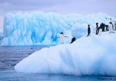 Відкриття антарктиди беллінсгаузеної та блакитним