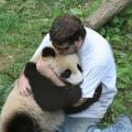 Kebun Binatang dan Akuarium Beijing Kesan mengunjungi Kebun Binatang Beijing