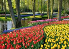 Най-красивите паркове и градини в света Най-красивите градини на земята