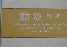 Botanical Garden and Orchid Park (Singapore Botanic Gardens)