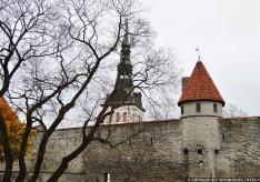 O que ver em Tallinn em um dia?
