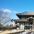 Достопримечательностии экскурсии в японии Япония города и их достопримечательности