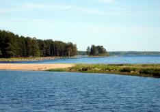 Deskripsi singkat tumbuhan dan hewan Danau Onega Karelia